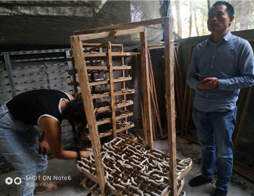 上海体育频道:50元一斤的网红菜竟是云南绿化带？野菜变黄金背面的饮食文